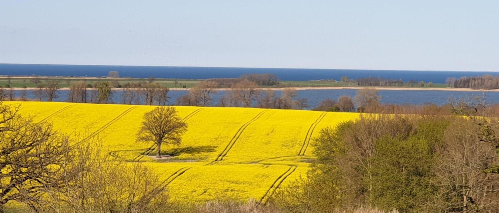 Idyllisches-Blockbohlenhaus-Mit-Eigenem-Garten-Und-Sauna-Zum-Wohlfuehlen Martensrade Zewnętrze zdjęcie