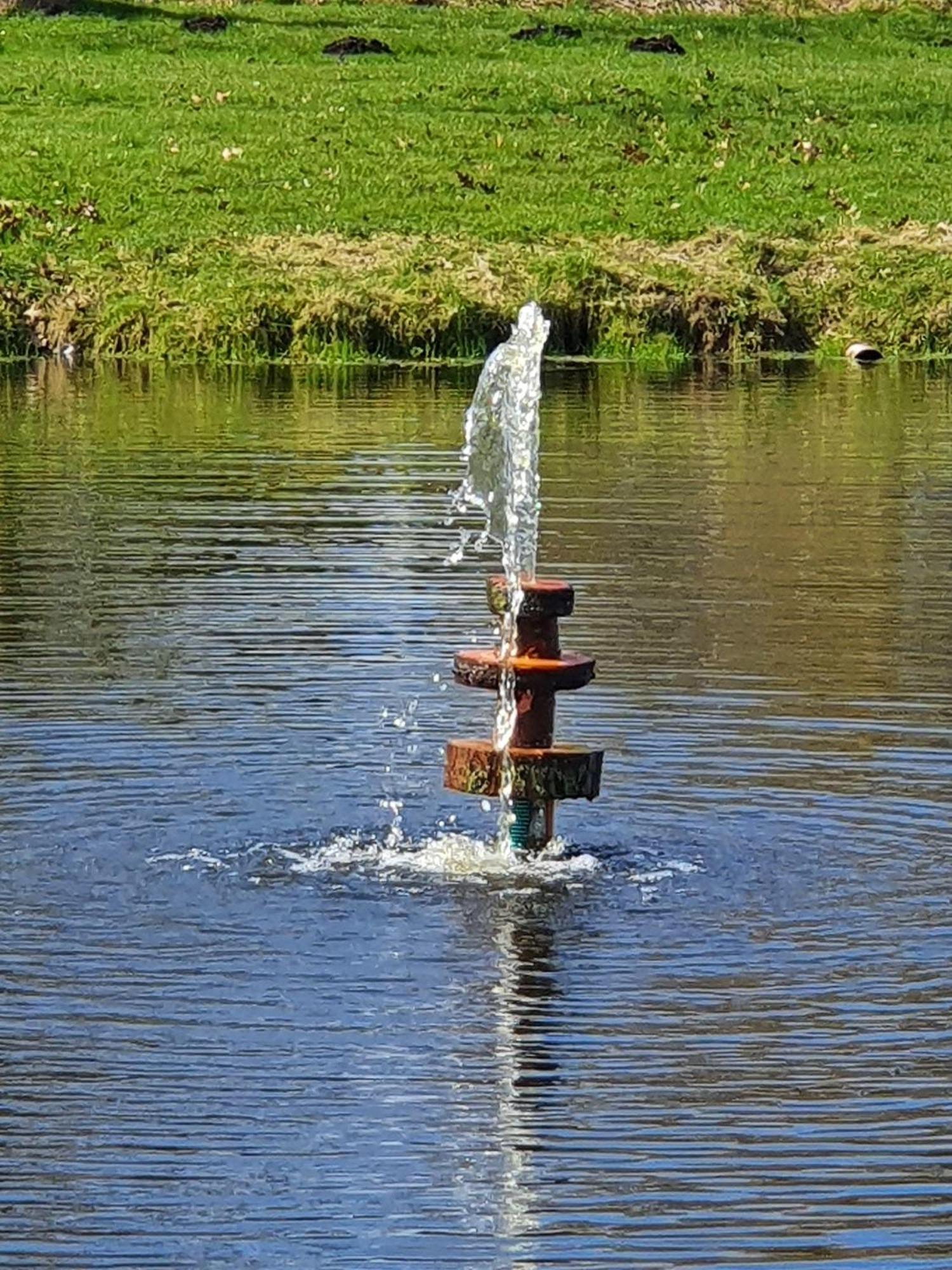 Idyllisches-Blockbohlenhaus-Mit-Eigenem-Garten-Und-Sauna-Zum-Wohlfuehlen Martensrade Zewnętrze zdjęcie