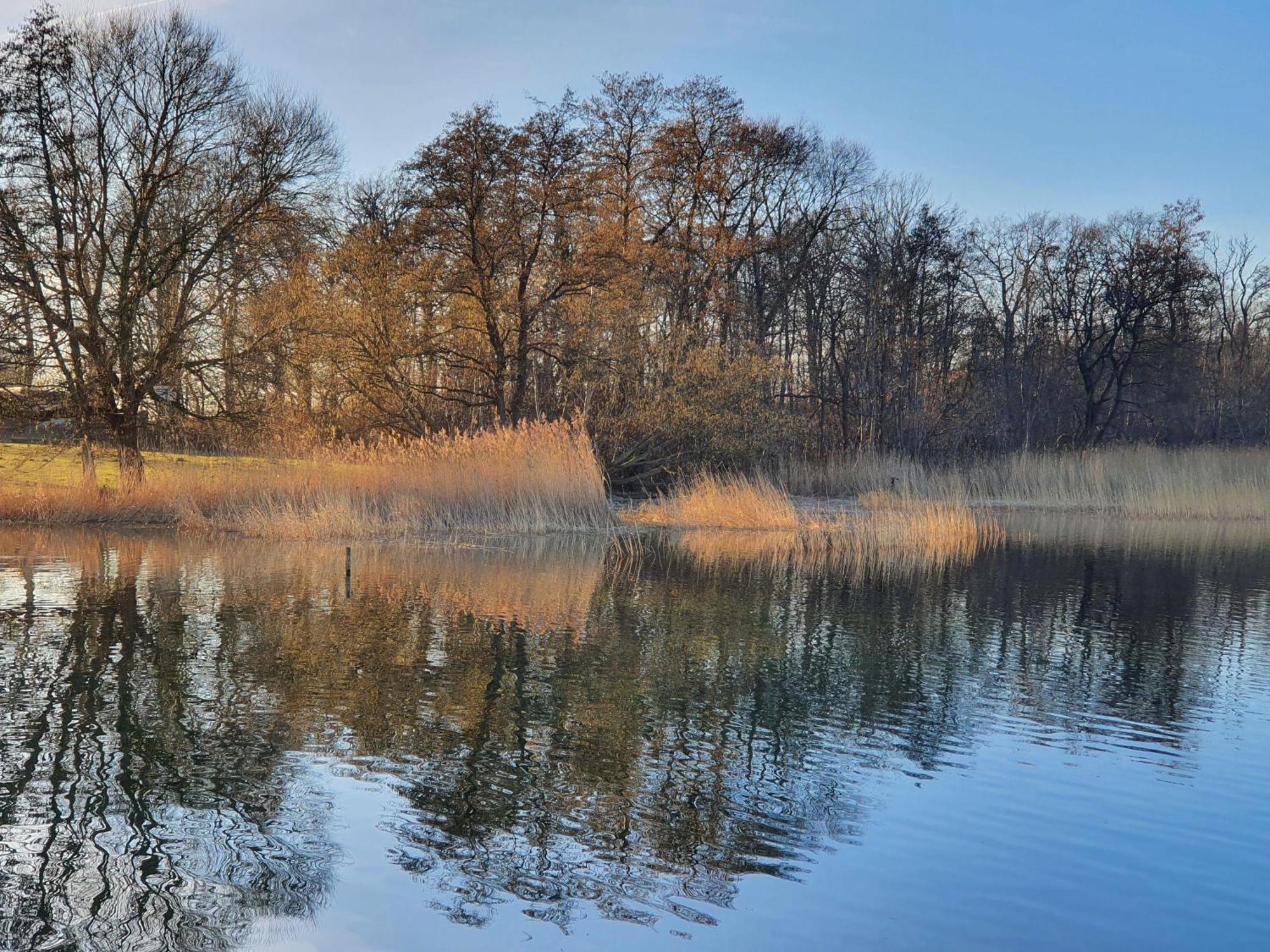 Idyllisches-Blockbohlenhaus-Mit-Eigenem-Garten-Und-Sauna-Zum-Wohlfuehlen Martensrade Zewnętrze zdjęcie